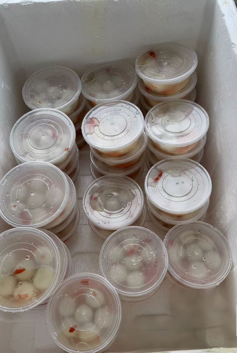 ����galaxy����